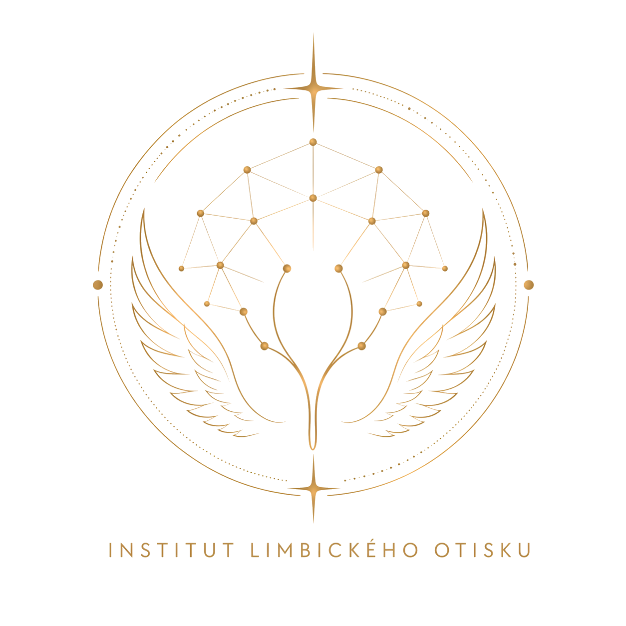Institut lidského otisku